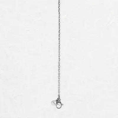 Silver Anchor Chain